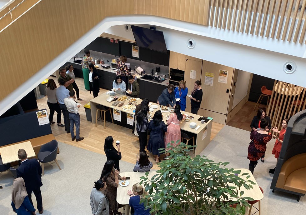 our-offerings-image-revised