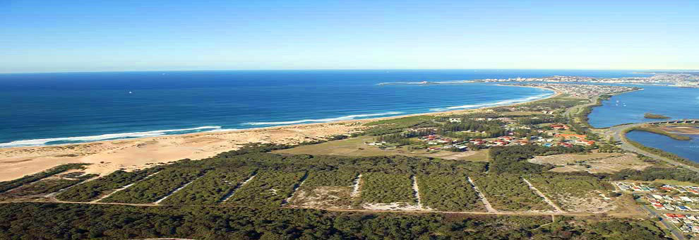 An aerial view of a coastal Australian area with bushland, residential blocks, beach, and ocean stretching to the horizon.