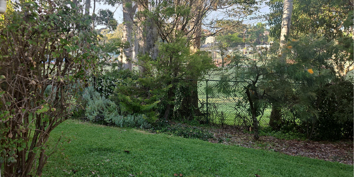 A very lush and established garden showing mature plants along the fence line. There is a mis of Australian natives including tall gum trees and smaller shrubbery. The grass is vibrantly green.