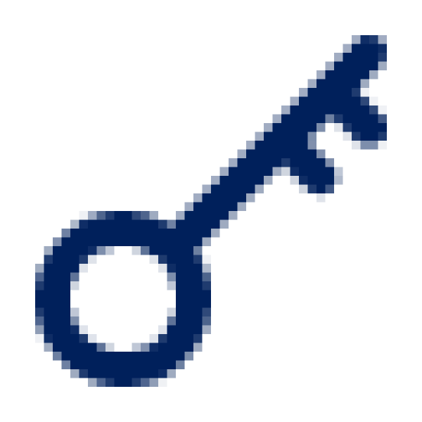 Key icon