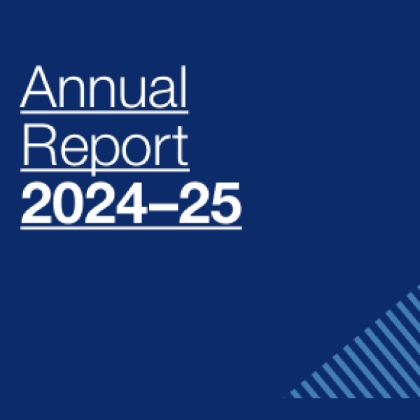 Zoomed in snapshot of the Annual Report cover showing the words Annual Report 2024-2025