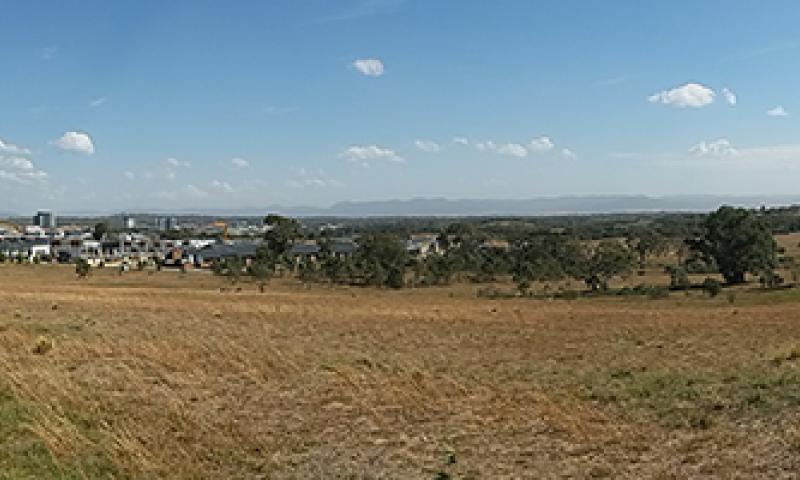 A panoramic view of a regional-looking area, surrounded by open grassland and scattered eucalyptus trees, with mountain ranges in the distance.