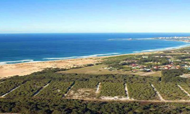 An aerial view of a coastal Australian area with bushland, residential blocks, beach, and ocean stretching to the horizon.